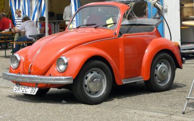 Wörth an der Donau 2008