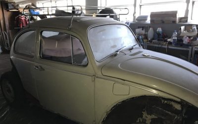 Blog 8 Caro – ein neues Projekt?