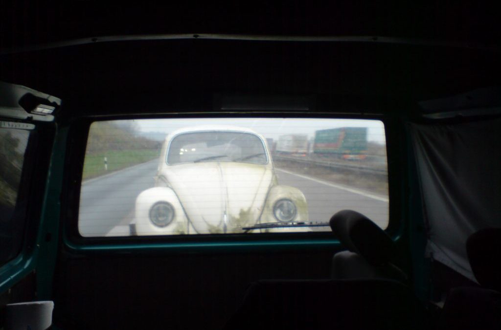 Dornröschen-Kauf 2007