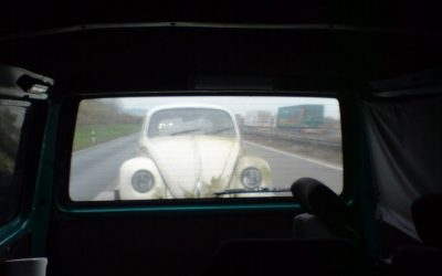 Dornröschen-Kauf 2007