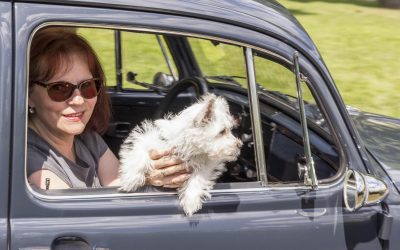 Blog 20 Auf den Hund gekommen…