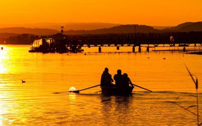 Bodensee – Mettnau 2017