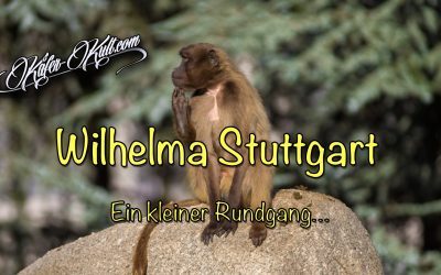Wilhelma-Video